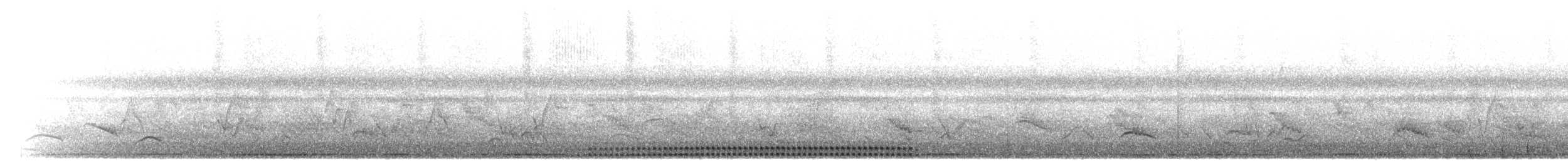 Autillo Peruano (roboratus) - ML297295