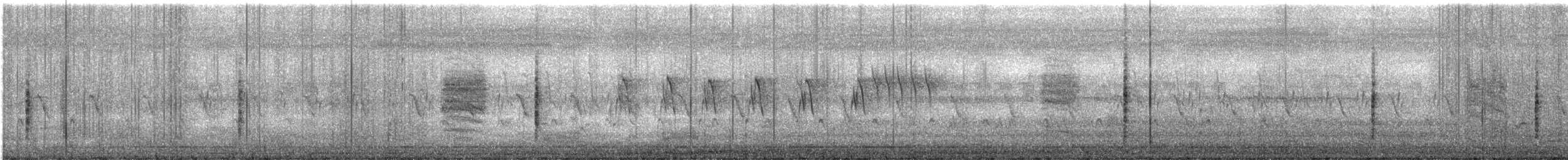 Rohrsänger, unbestimmt - ML297310301