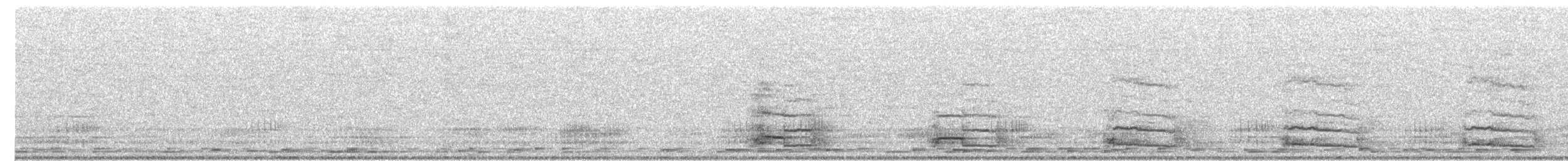 Great Spotted Cuckoo - ML297328911