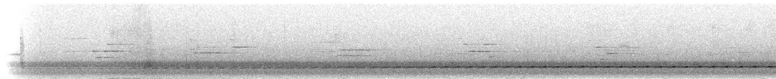 Bindenbrust-Ameisendrossel - ML297404