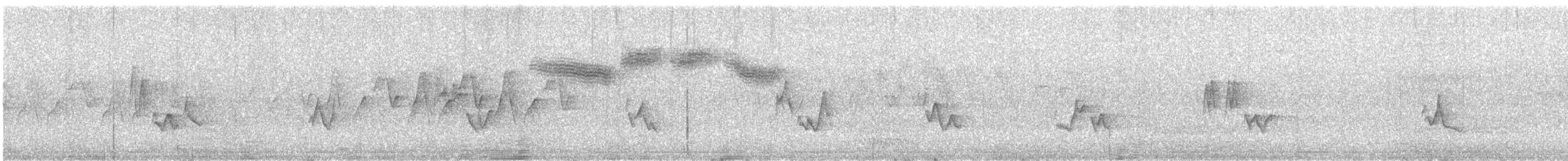 "Желтокрылая x Голубокрылая червеедка (гибрид, Brewster's)" - ML29749421