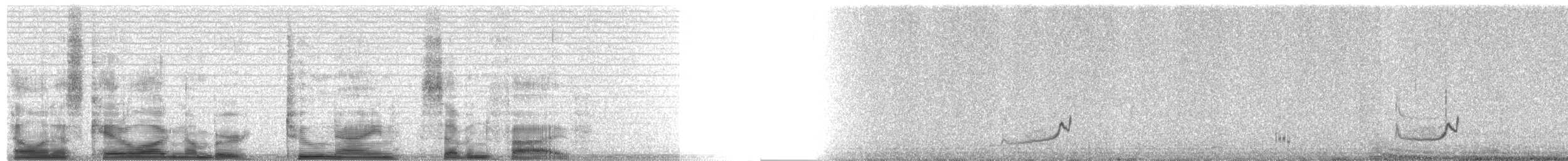 Snowy Plover (nivosus) - ML2975