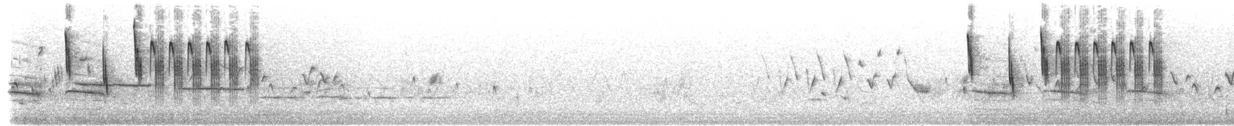Sedge Wren - ML29760181