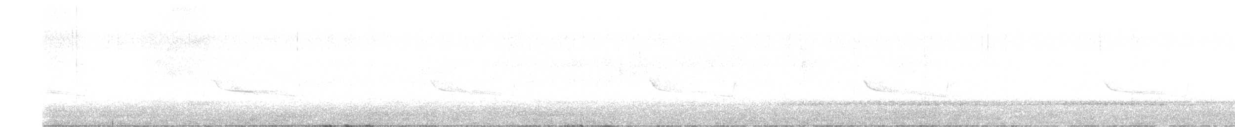 Breitspiegel-Nachtschwalbe - ML297646411