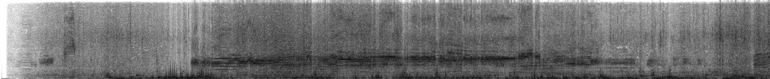 svartflekkalbatross (steadi) - ML297652981