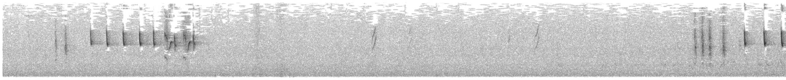 Чернобрюхая нектарница - ML297659641