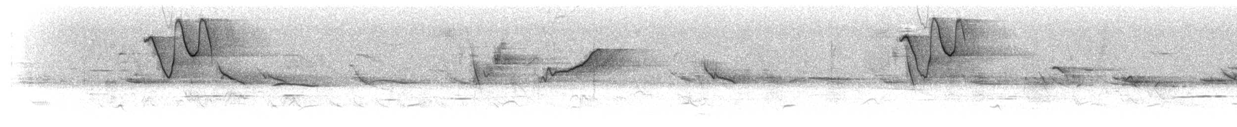 Серокрылая пизарита-инка - ML297739