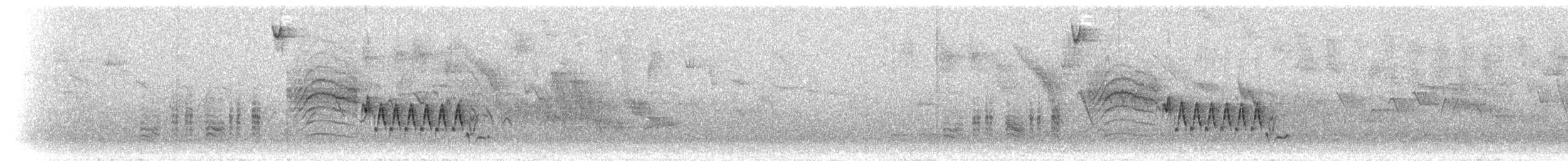 Southern House Wren - ML297782