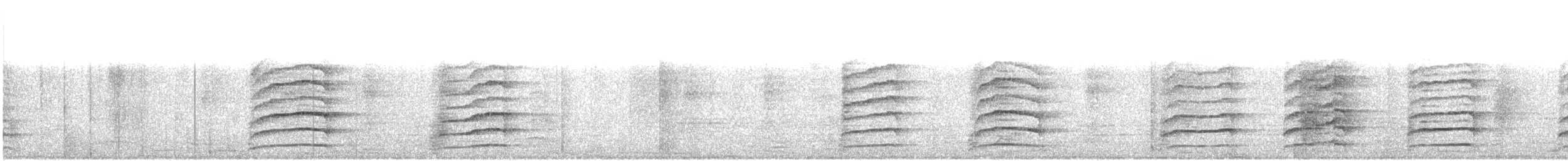 Asian Koel - ML297902151