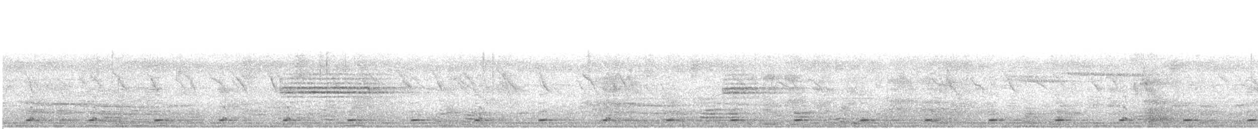 White-breasted Waterhen - ML297902511