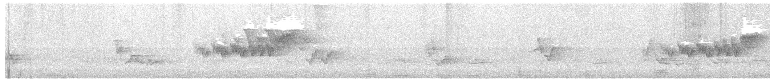 Cerulean Warbler - ML29793081