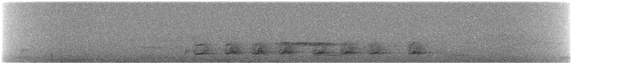 シルスイキツツキ - ML297944971