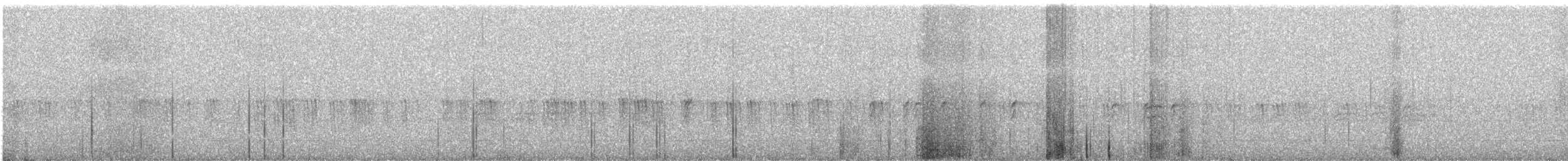Crociere fasciato - ML297975571