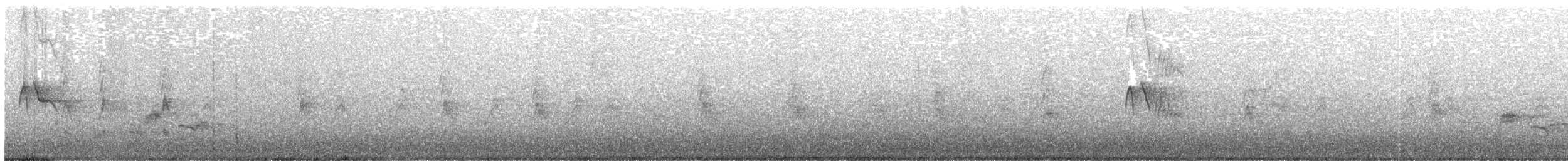 Black Phoebe - ML298053801
