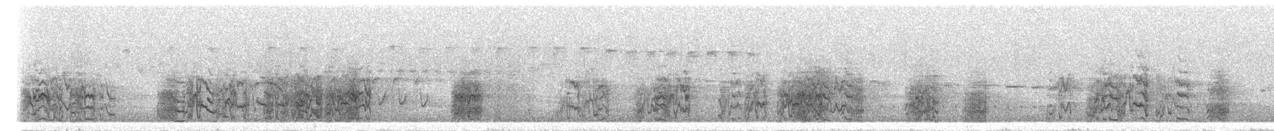 バラガシラインコ（tumultuosus） - ML298060