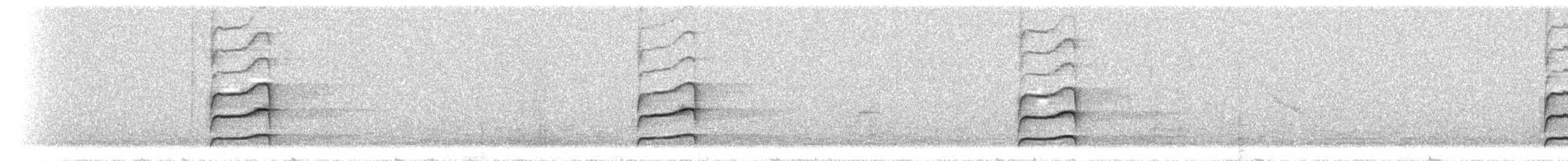 Rufous Spinetail (ochrogaster) - ML298074