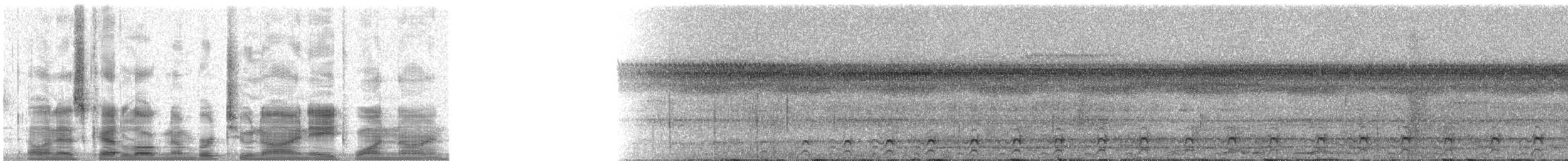 Gray-headed Kite - ML29819