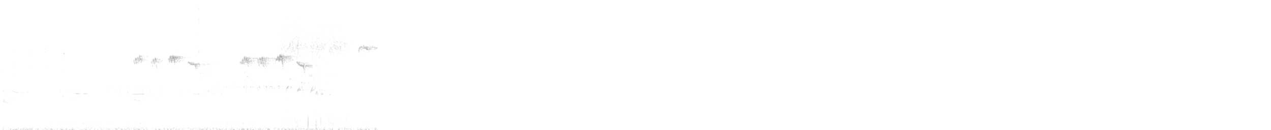 Crested Tit - ML298240551