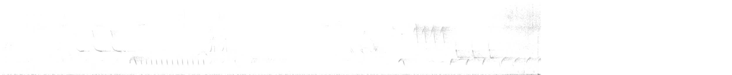 Зулбаран гургалдай - ML298240951