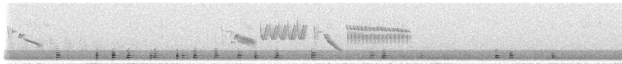 Andean Ibis - ML298372