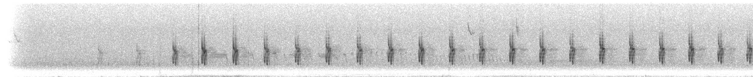 Jalca Tapaculo - ML298373