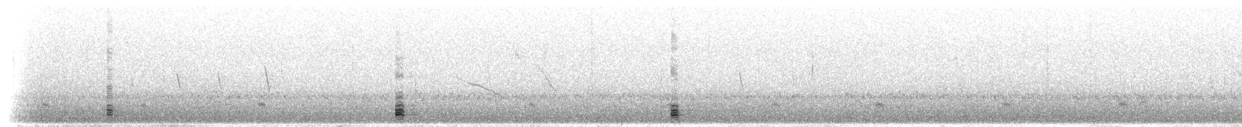 Andean Ibis - ML298380