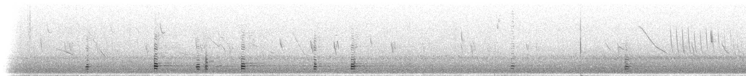 Andean Ibis - ML298381