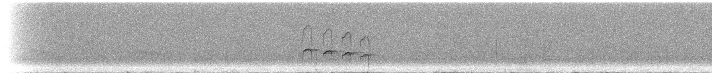 Streifenbauch-Tachurityrann - ML298474