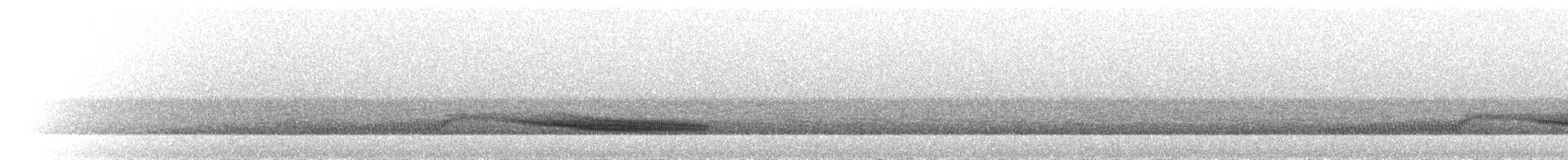 Swallow-tailed Nightjar - ML298554