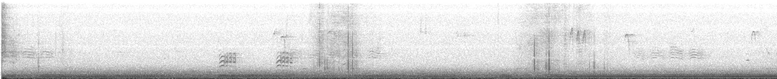 Weißbrustkleiber [lagunae-Gruppe] - ML298582591