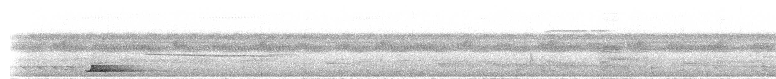 Tinamou à calotte noire - ML298607