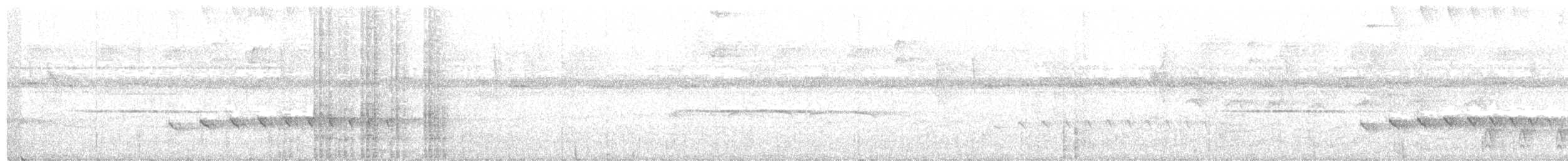 karančo jižní (ssp. cheriway) - ML298654971