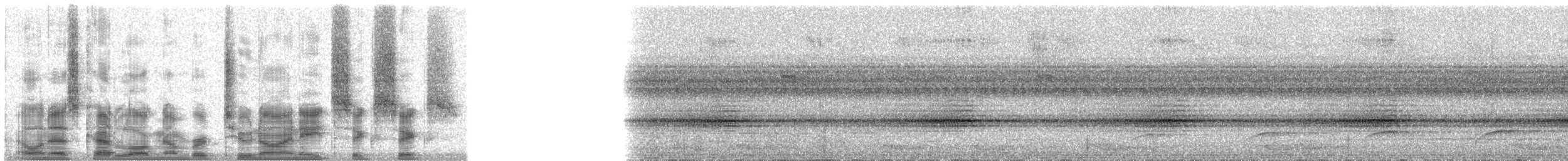 trogon guyanský - ML29866