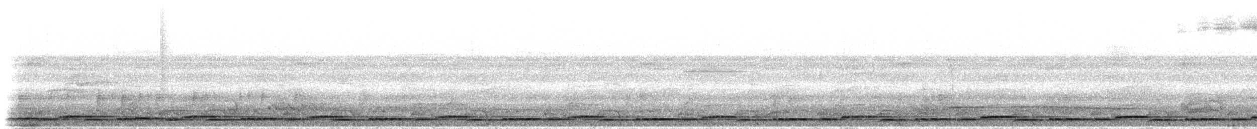Звёздчатый зубцеклювый перепел - ML298660