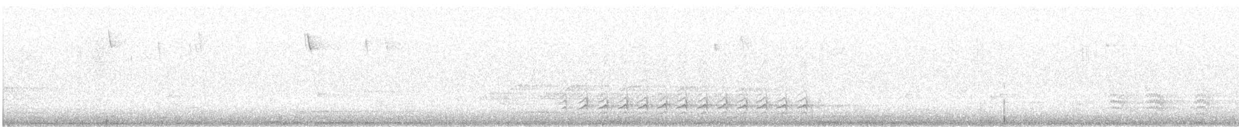 Weißbrustkleiber (carolinensis) - ML298675511