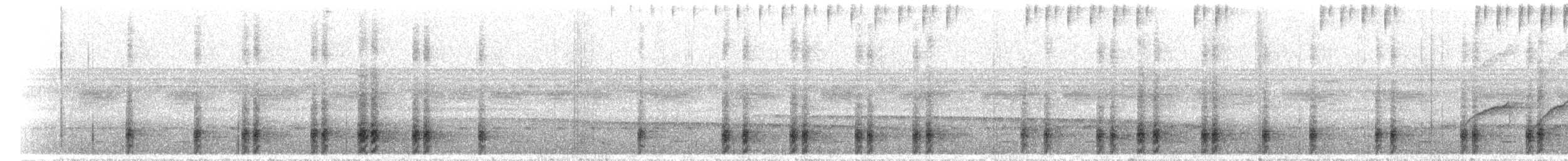 Schriftarassari - ML298705