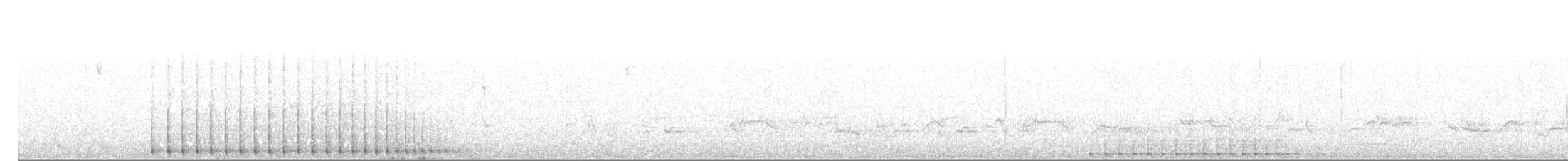 datlík smrkový (ssp. dorsalis) - ML29873581