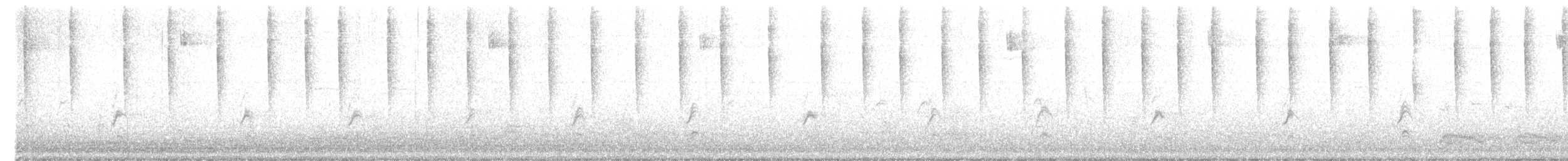 Anna's Hummingbird - ML298760501