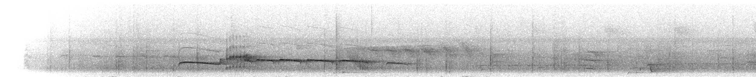 Тиран-плоскодзьоб темнохвостий - ML298861