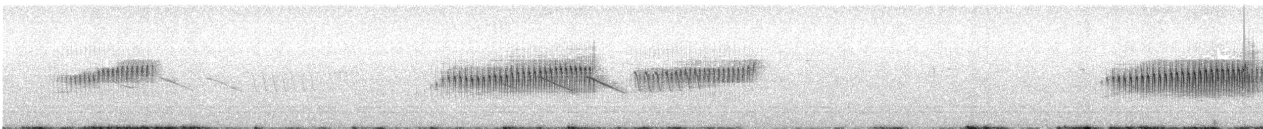 Austral Canastero - ML298866181