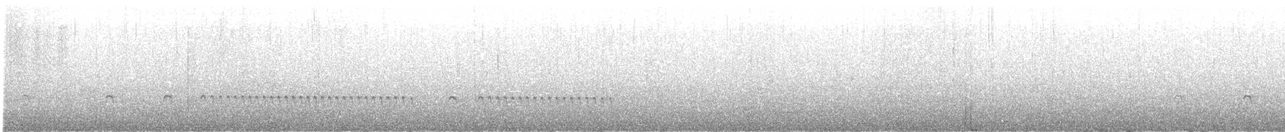 Wrentit - ML298884521
