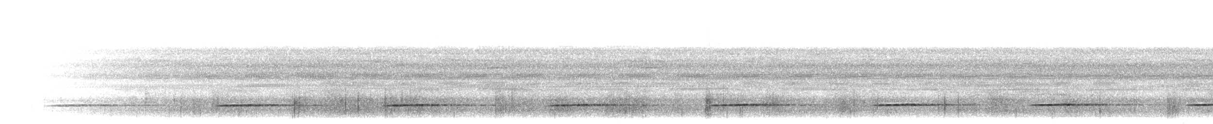 Tinamou de Bartlett - ML298902