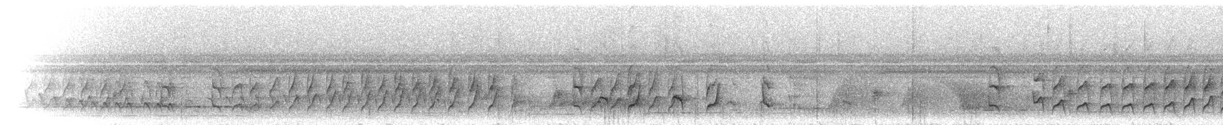 hvitflankemaursmett (axillaris gr.) - ML298971