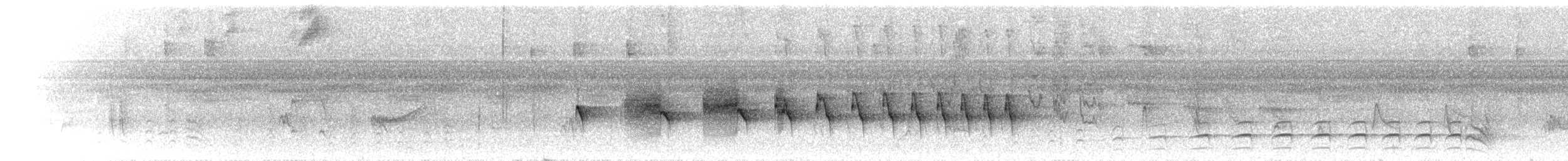 Weißbauch-Ameisenfänger - ML298983