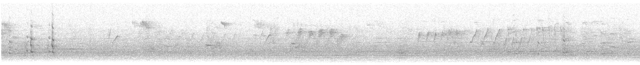 sokol stěhovavý (ssp. peregrinator) - ML298988781