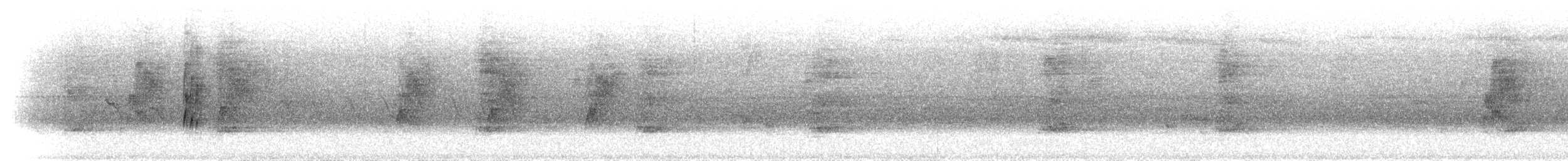 Kara Sırtlı Todi Sinekkapanı - ML298999