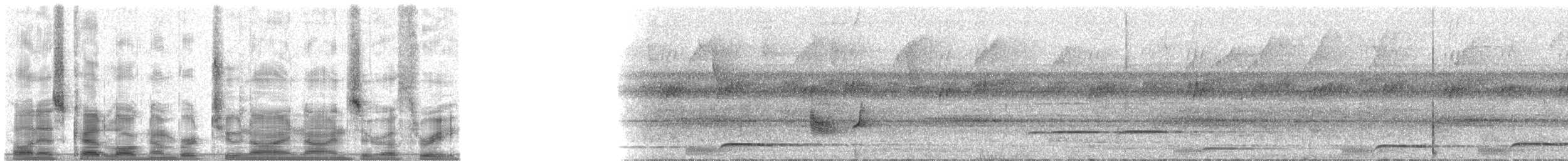 Ятла чорновола (підвид occidentalis) - ML29903