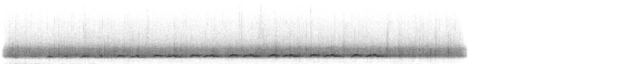 Lyre-tailed Nightjar - ML299035