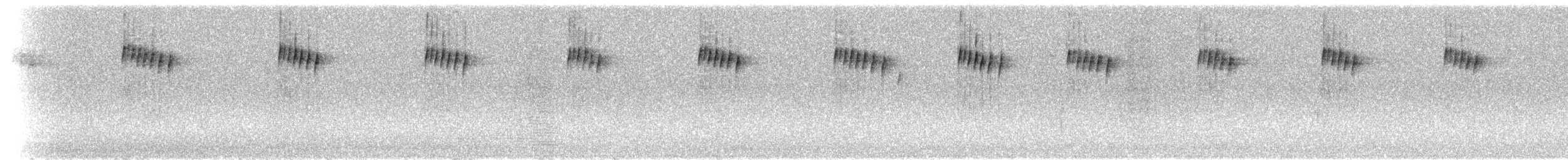 Weißbauch-Tachurityrann - ML299080