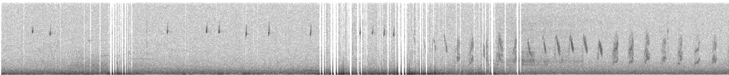 Sagebrush/Bell's Sparrow (Sage Sparrow) - ML299085701